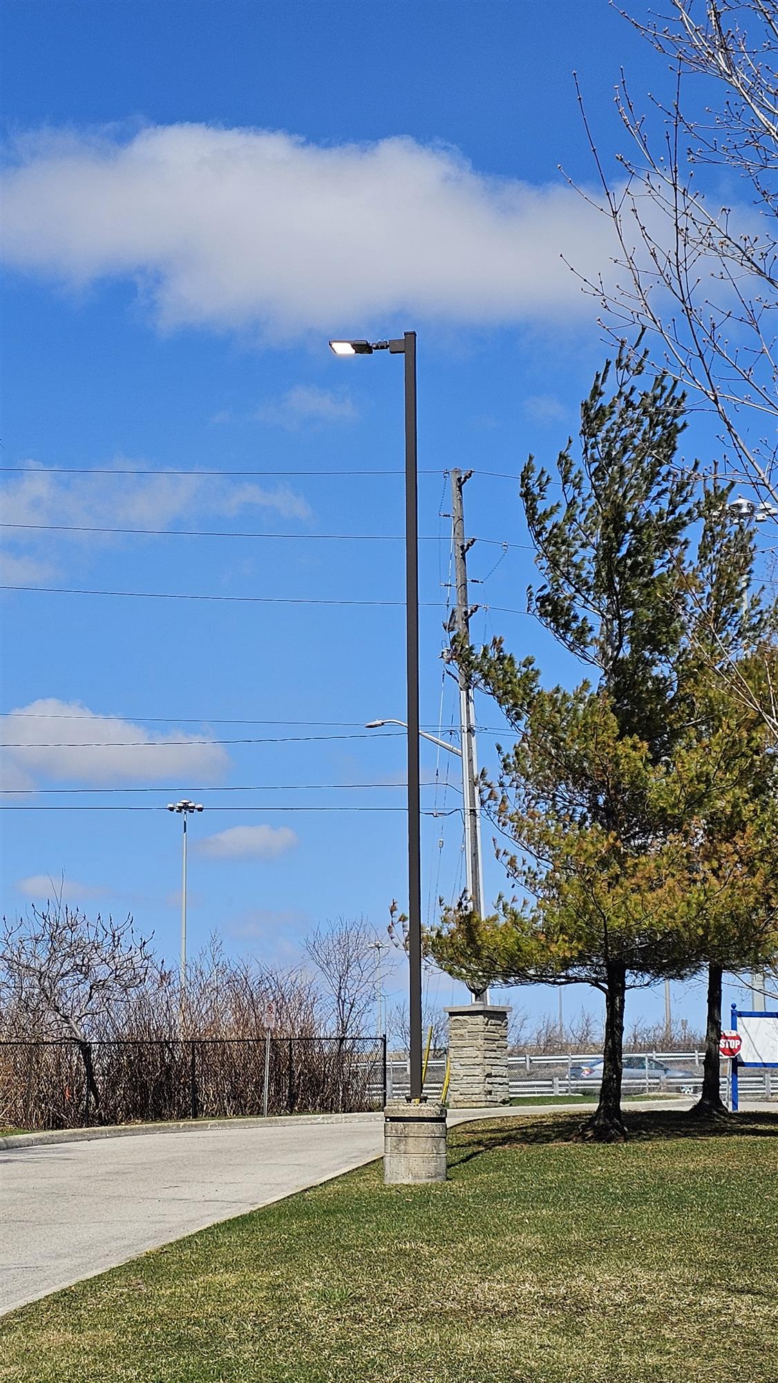 a tall pole lamp in parking are with trees