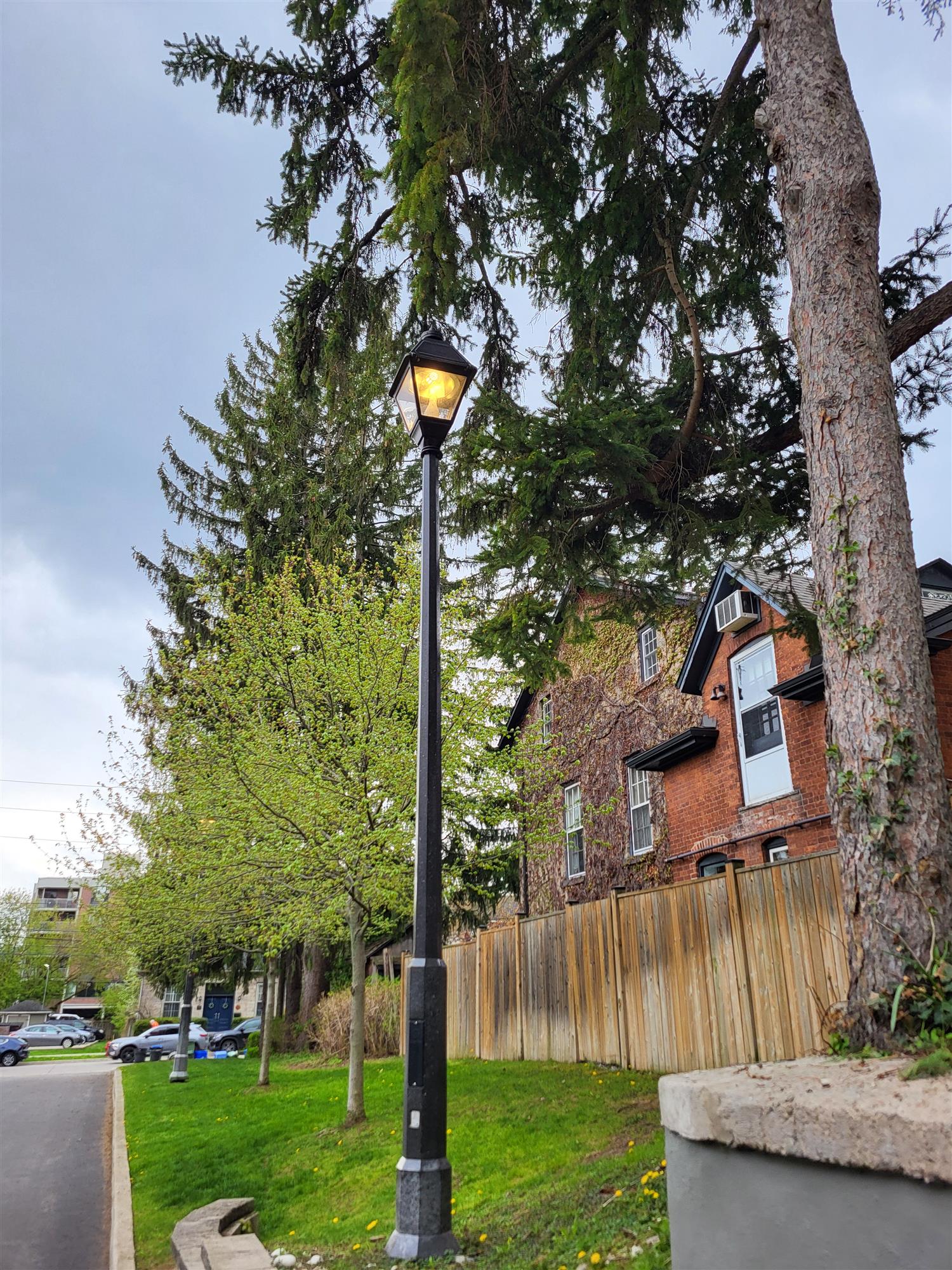 am illuminated pole light in parking lot beside tall pine tree