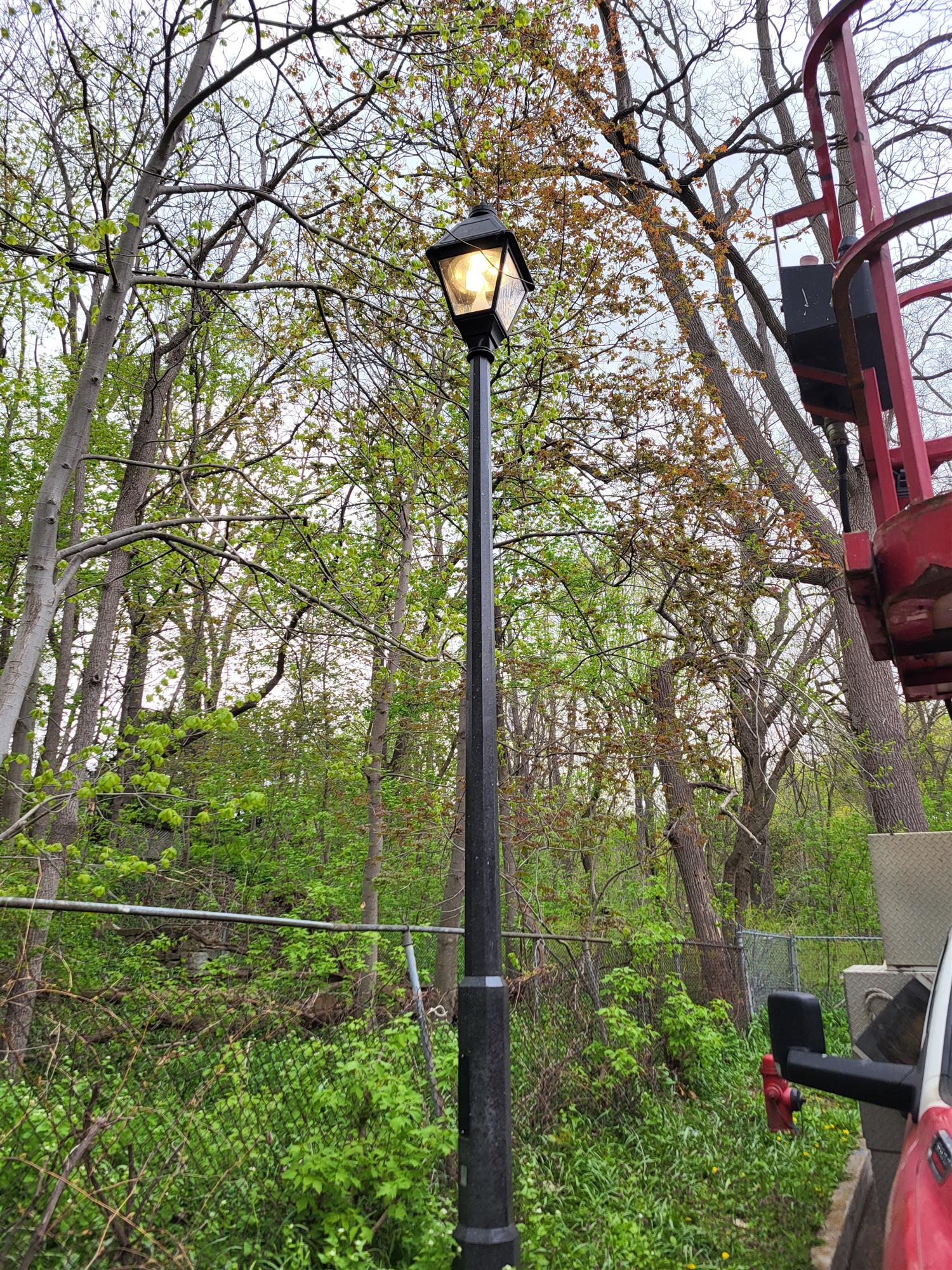 pole light with woods behind