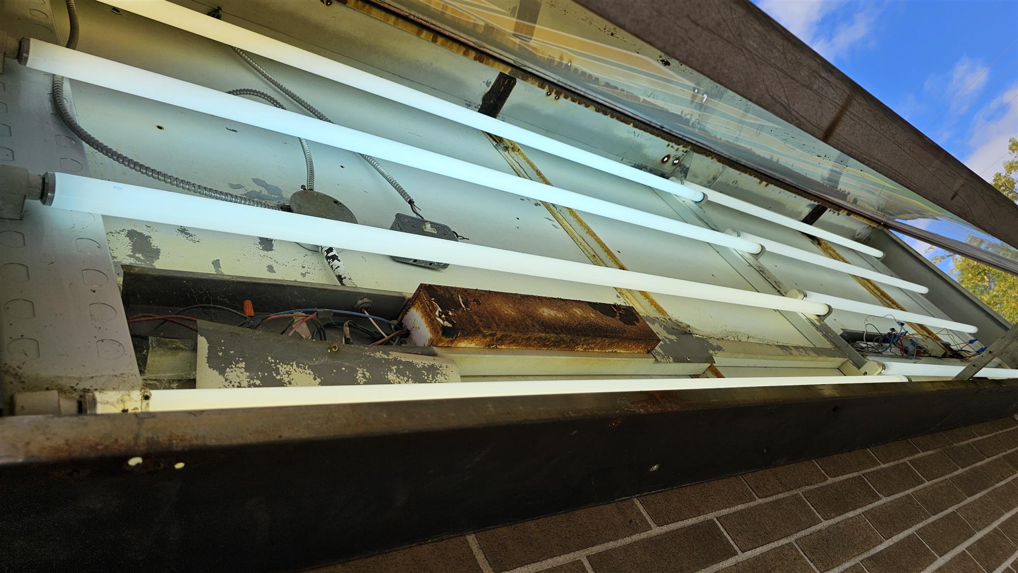 an open sign showing the florescent tubing replacement for a Fit4less business in Guelph Ontario