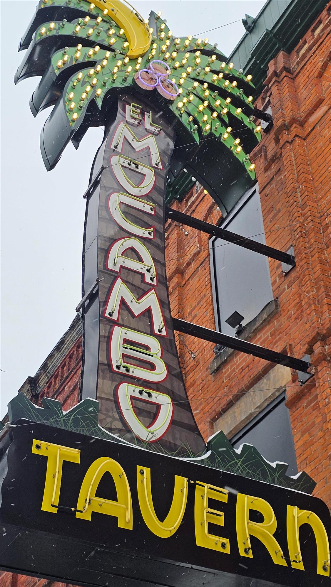 a large neon palm tree sign for the El Mocambo tavern
